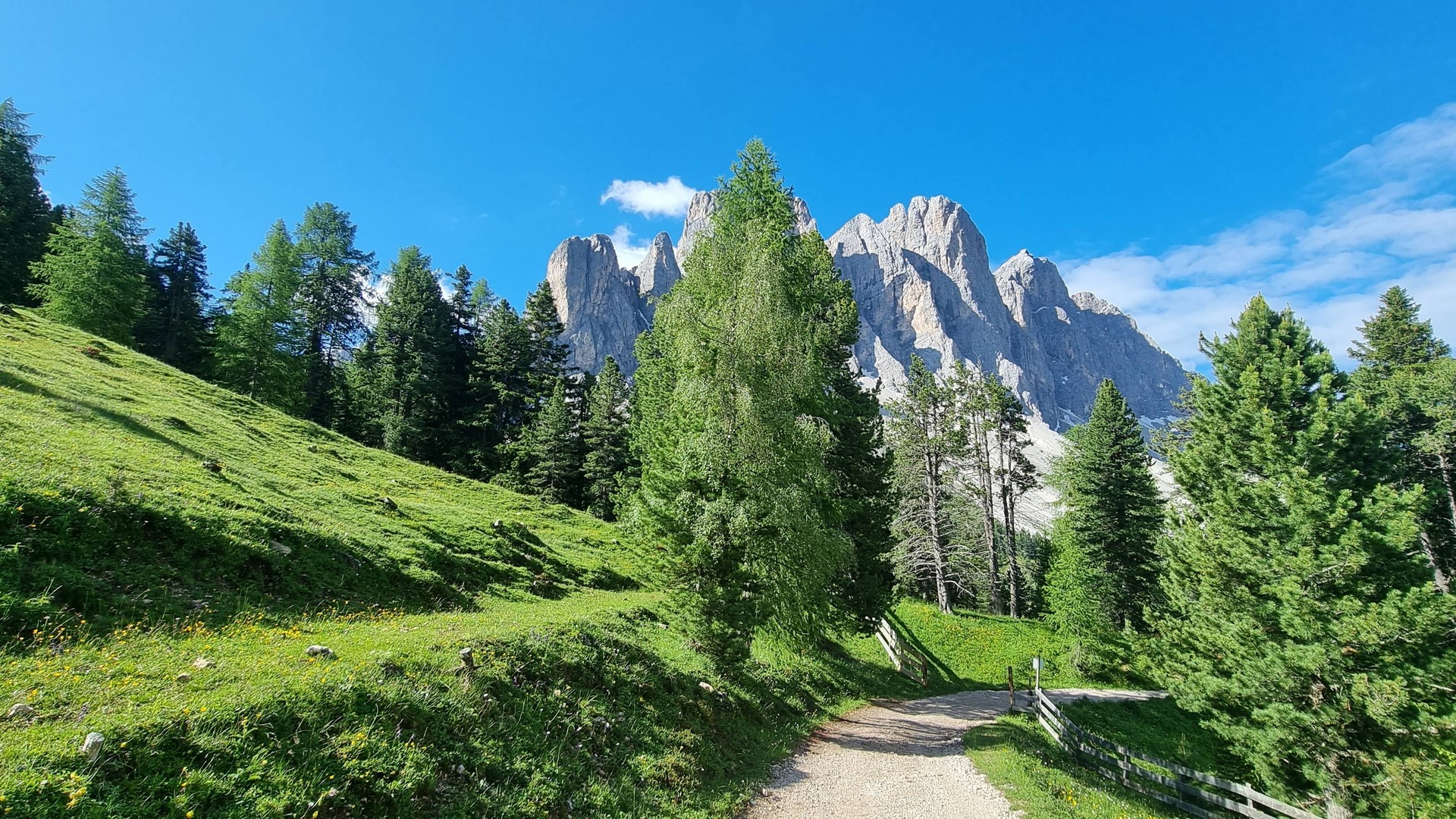 Nachhaltigkeit und Naturschutz in den Bergen